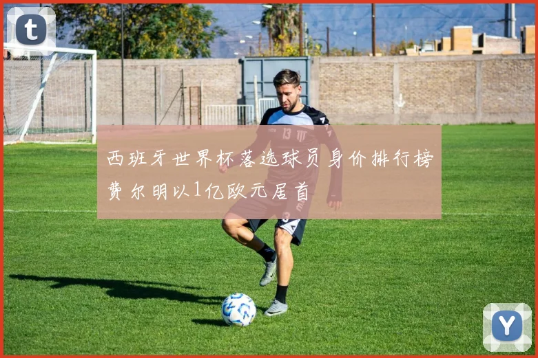 西班牙世界杯落选球员身价排行榜费尔明以1亿欧元居首