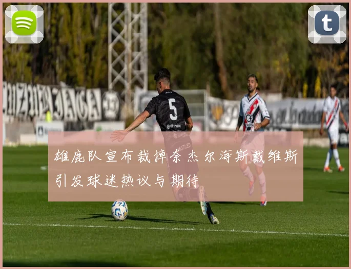 雄鹿队宣布裁掉奈杰尔海斯戴维斯引发球迷热议与期待