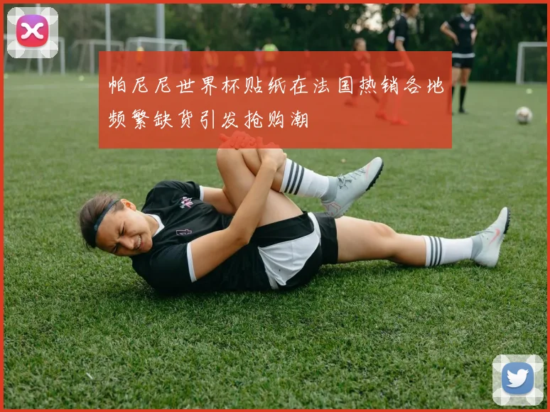 帕尼尼世界杯贴纸在法国热销各地频繁缺货引发抢购潮